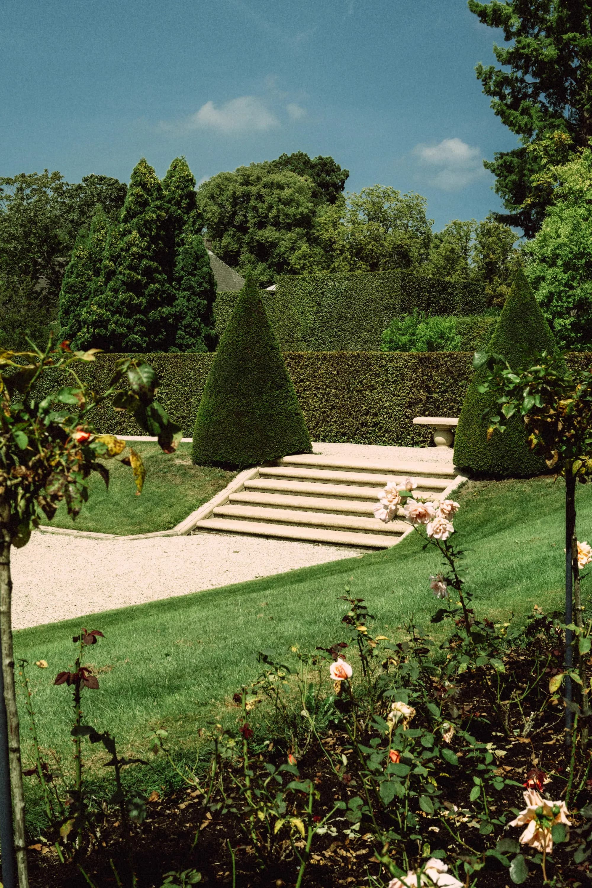 Jardin paysager avec terrasse